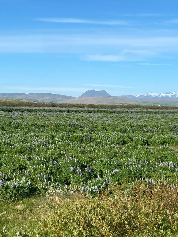 Uxahryggur Villa Hvolsvollur Luaran gambar